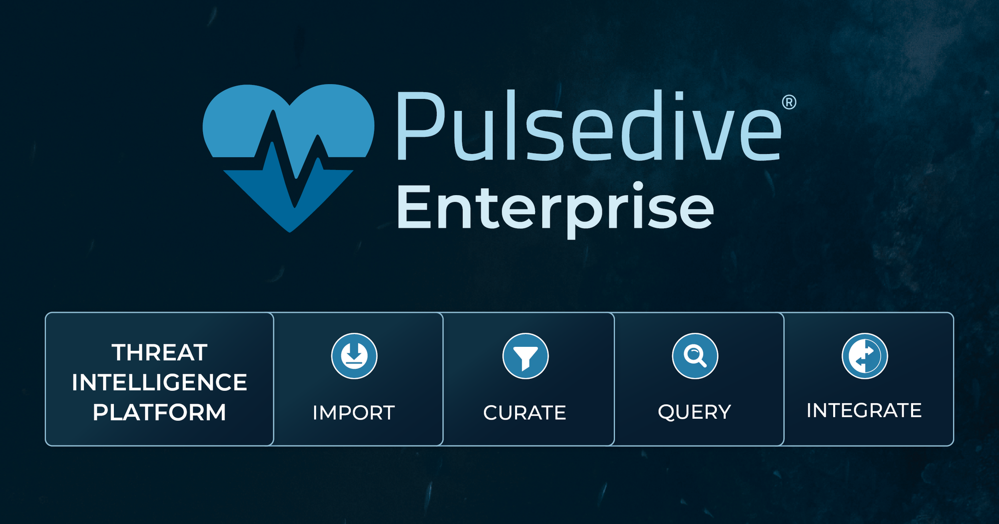 Announcing: Pulsedive Enterprise